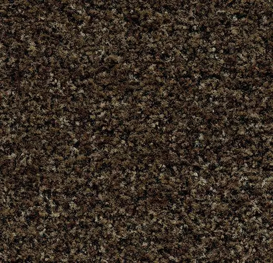 Coral Brush - 5774 biscotti brown Safety Flooring