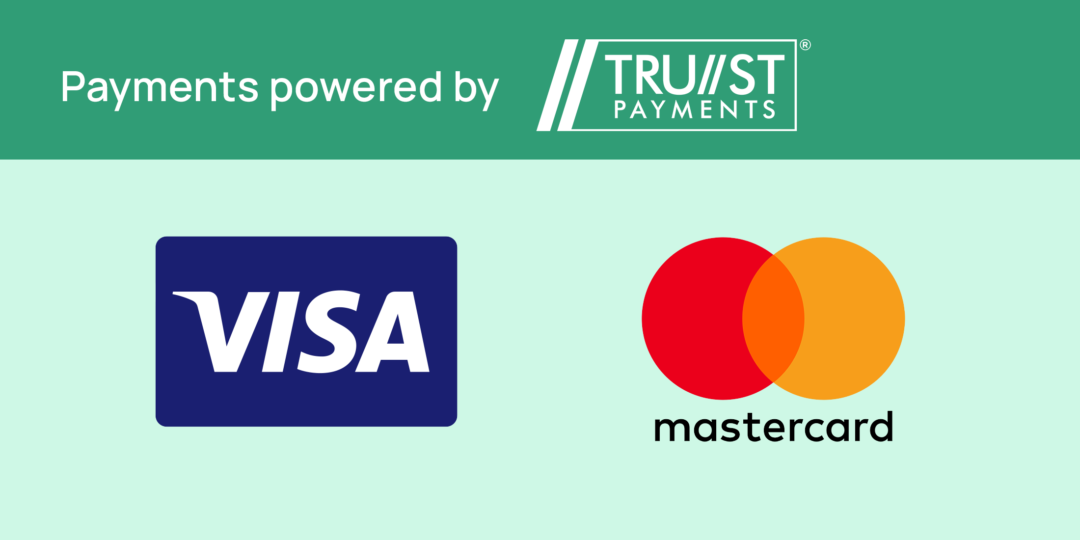 payments with visa and mastercard