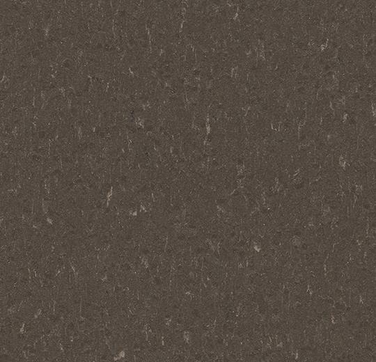 Marmoleum piano - sealion
