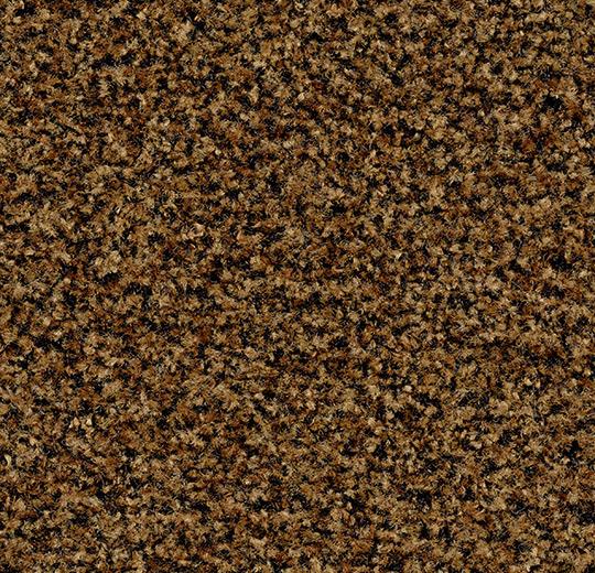 Forbo Coral Brush Entrance Matting Coral Brush - 5716 masala brown