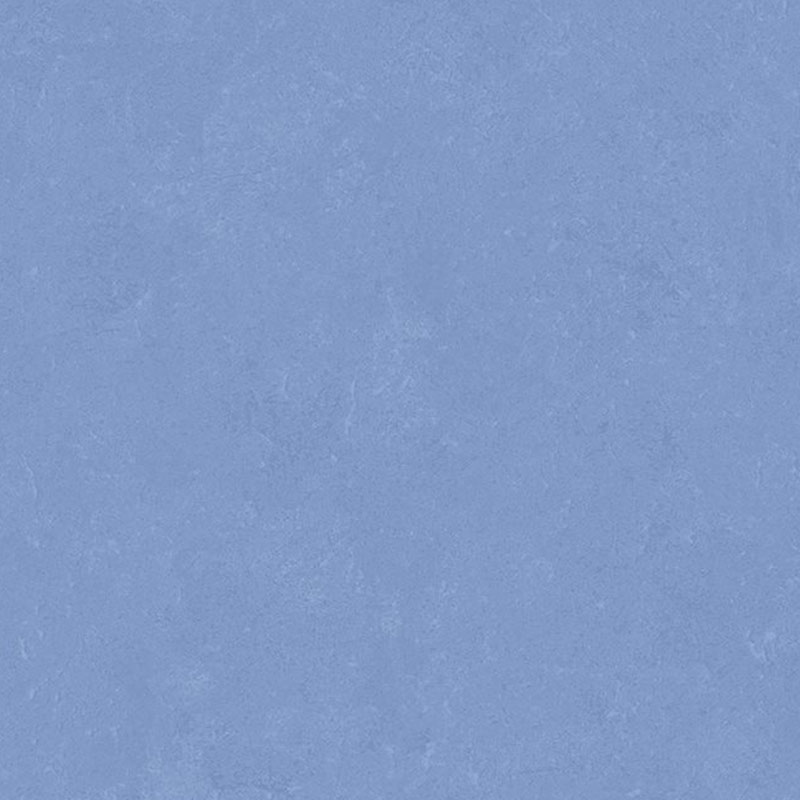 Altro Orchestra - RapCH2820