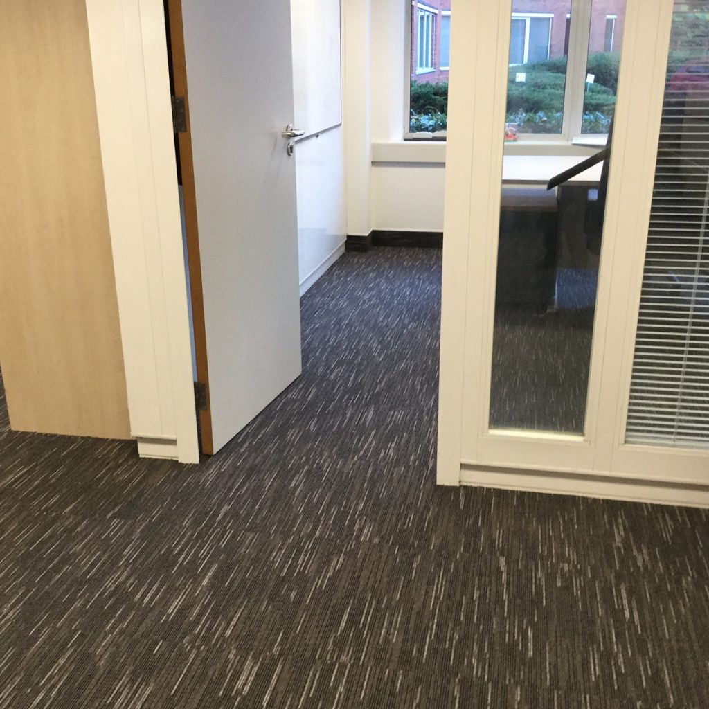  Paragon Workspace-Linear