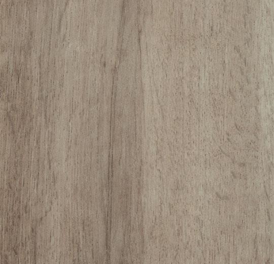 Forbo Allura Flex Wood - Grey Autumn Oak