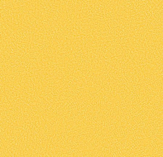   Sarlon Sparkling - Canary