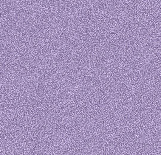   Sarlon Sparkling - Lavender