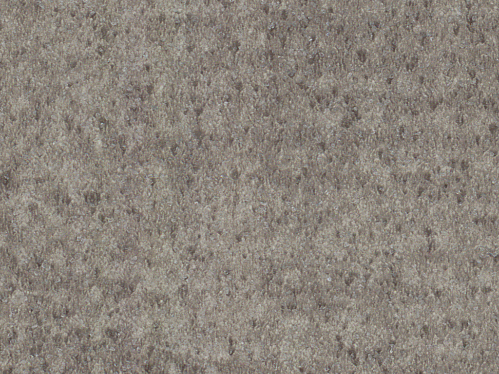 Polysafe Stone FX - Deep Fossil 5082 Safety Flooring