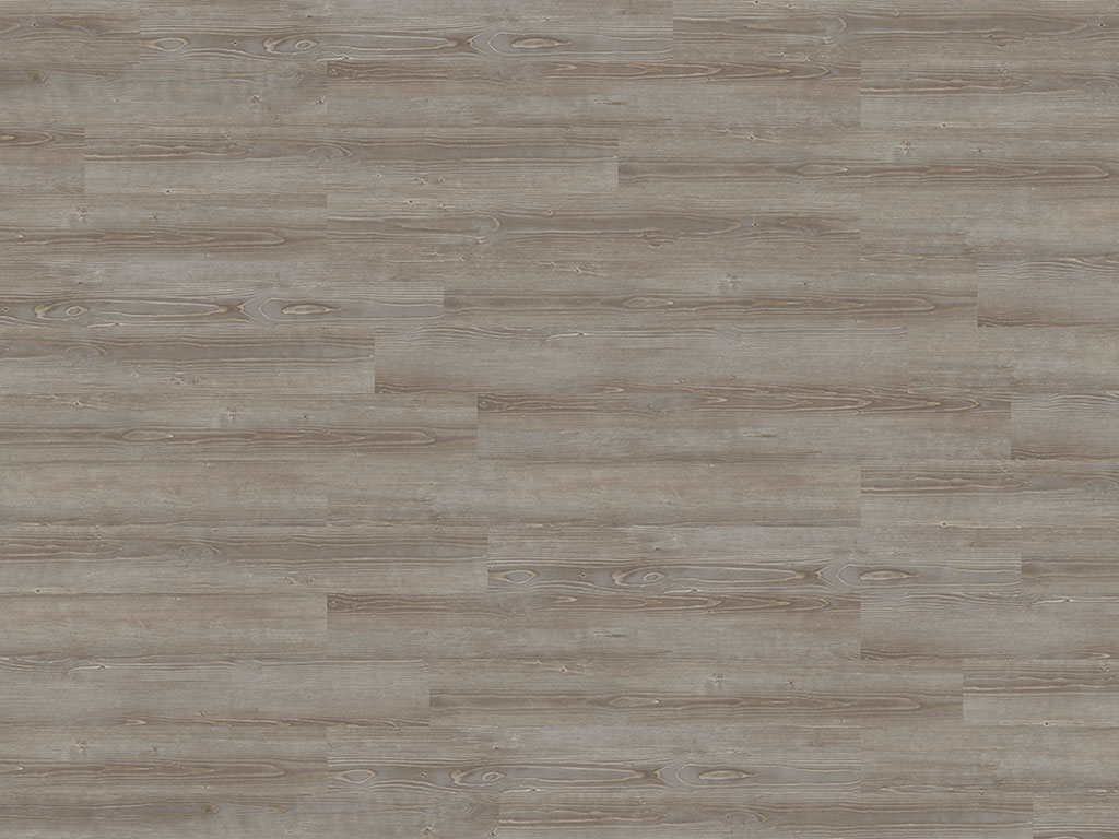 Expona Commercial - Grey Pine4063