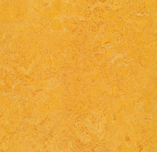 Marmoleum Marbled - 3225 dandelion