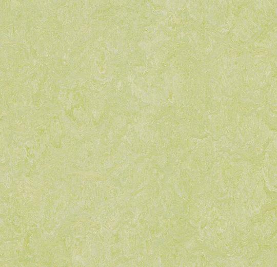 Marmoleum Marbled  Marmoleum Marbled - 3881 green wellness