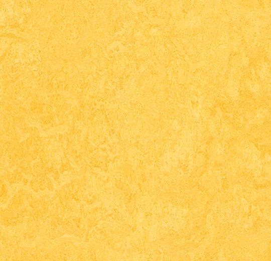 Marmoleum Tiles  MARMOLEUM MODULAR TILES - LEMON ZEST