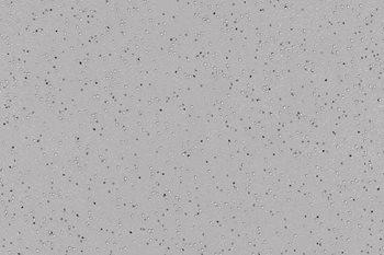 Altro-Suprema-Hibiscus-SY20005 Safety Flooring