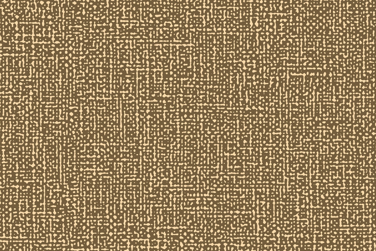 Altro Orchestra - Carlotta CH2865U