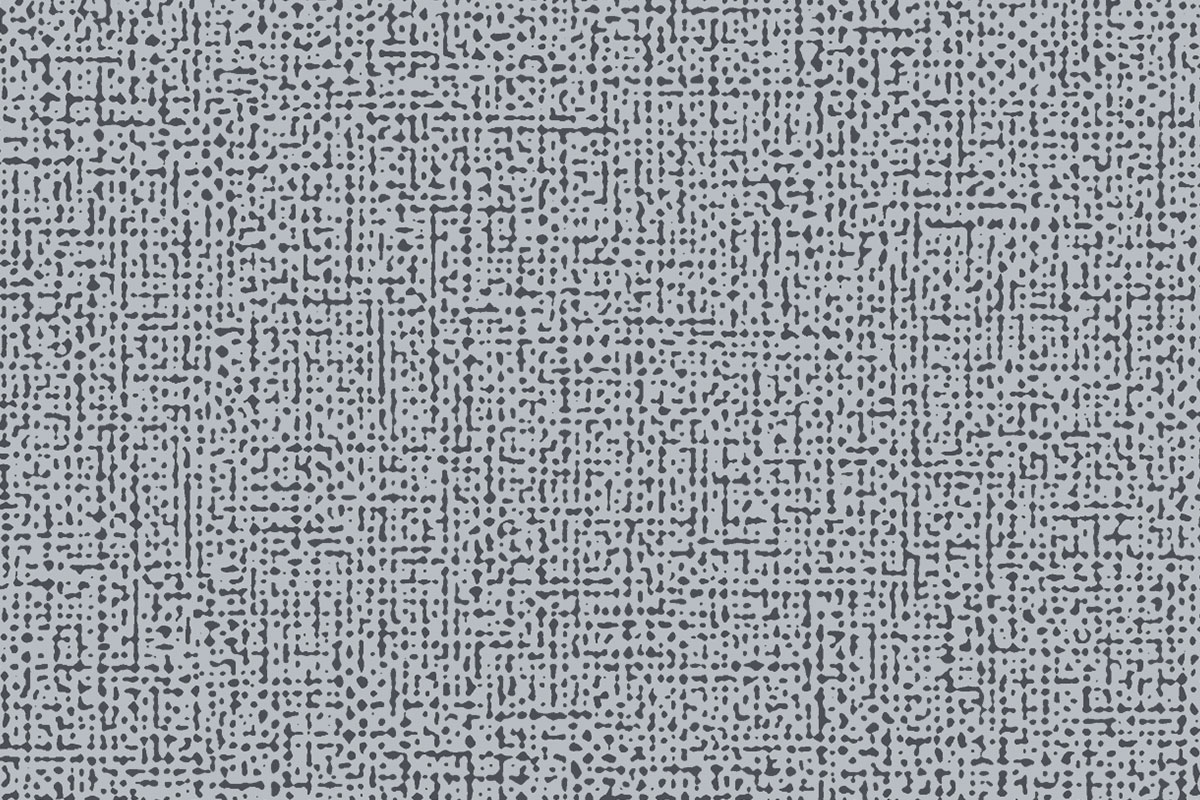 Altro Orchestra - Fidelio CH2868U