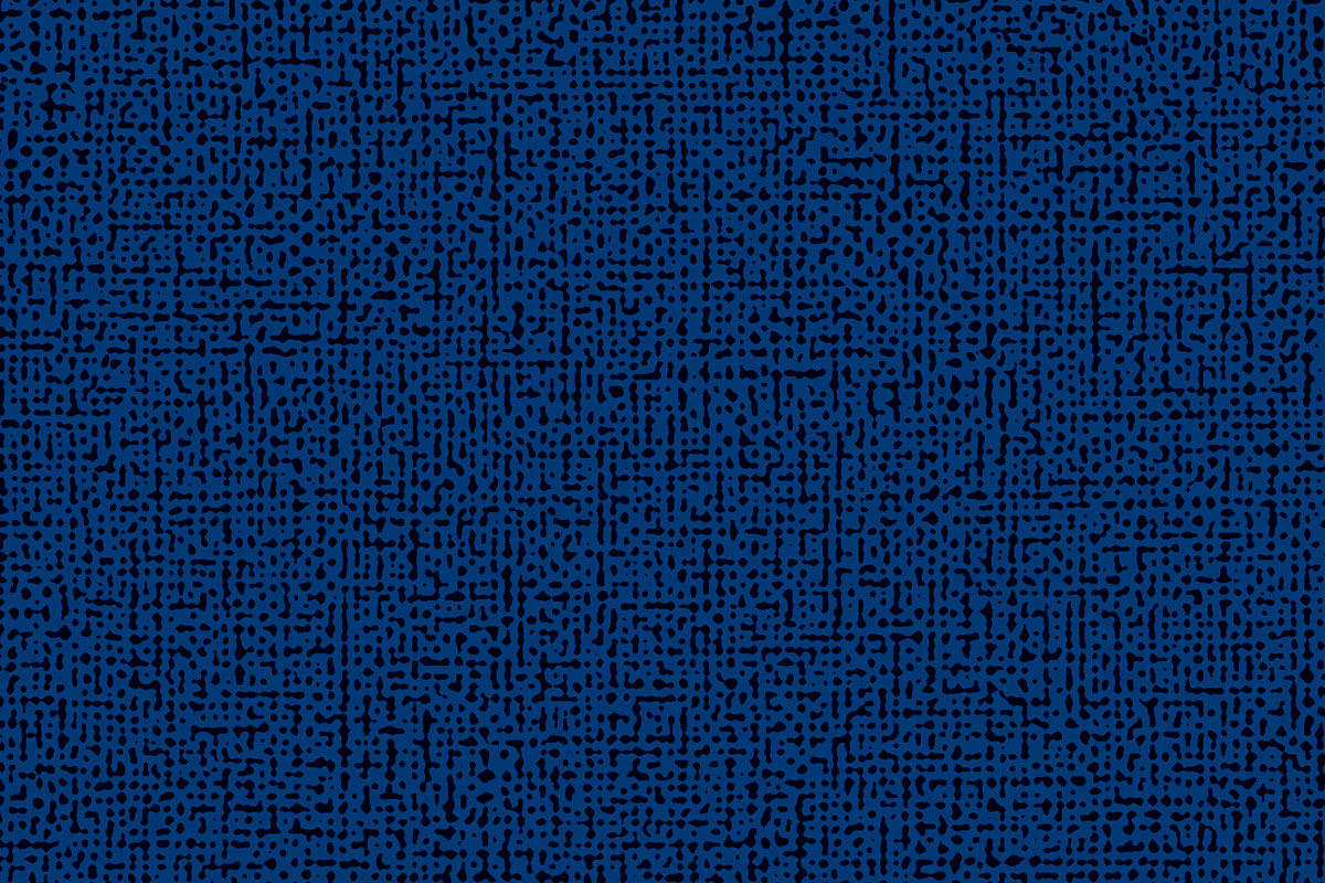 Altro Orchestra - Kora CH2871U