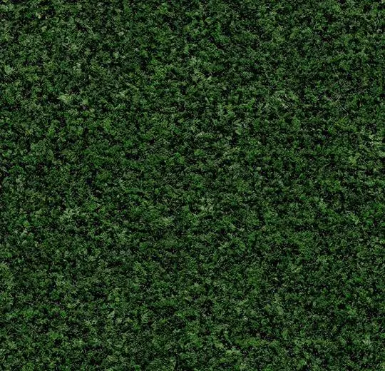 Forbo Coral Brush Entrance Matting Coral Brush - 5708 avocado green