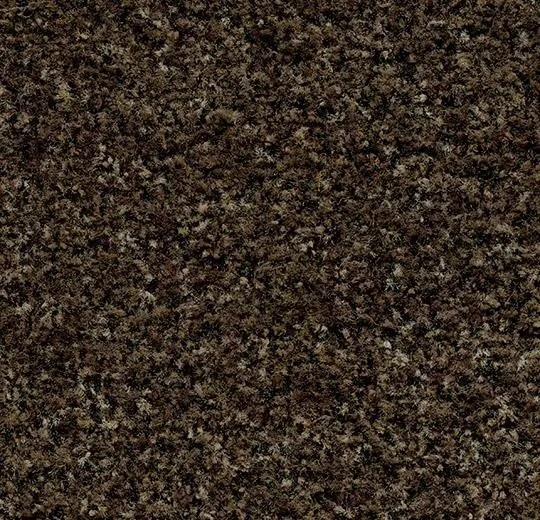 Forbo Coral Brush Entrance Matting Coral Brush - 5774 biscotti brown