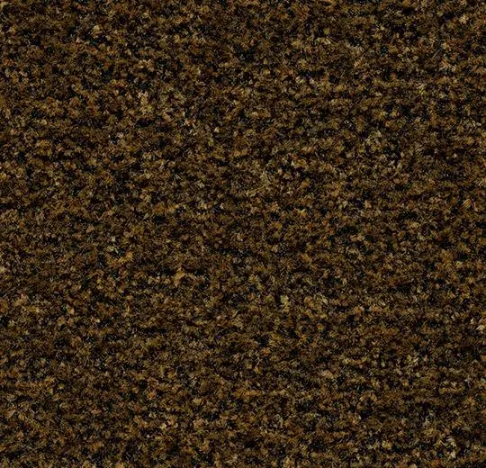 Coral Brush - 5736 cinnamon brown
