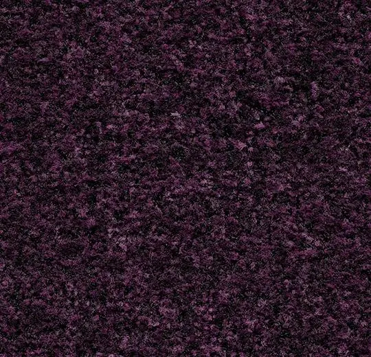 Coral Brush - 5739 byzantine purple