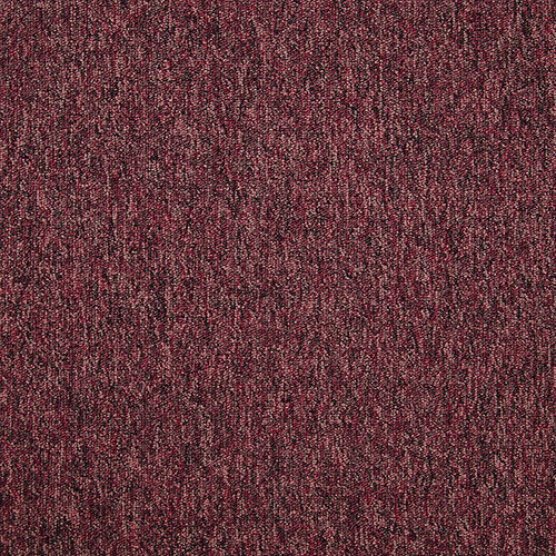 Gradus Latour 2 - Cheviot