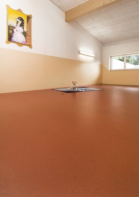 Altro ContraX Safety Flooring Gallery Picture 1